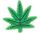 Hemp Leaf