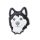 Husky Dog