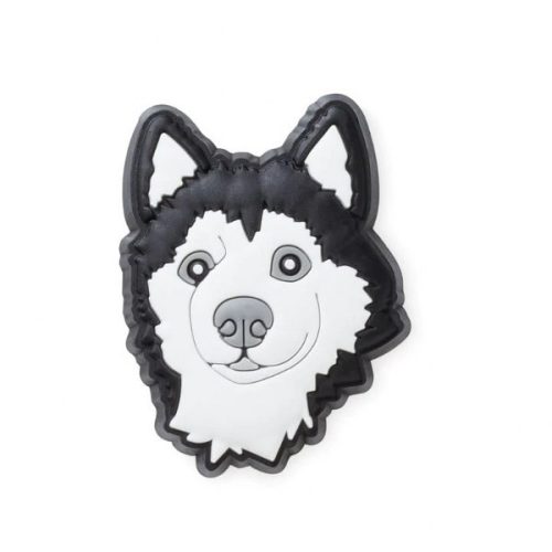 Husky Dog