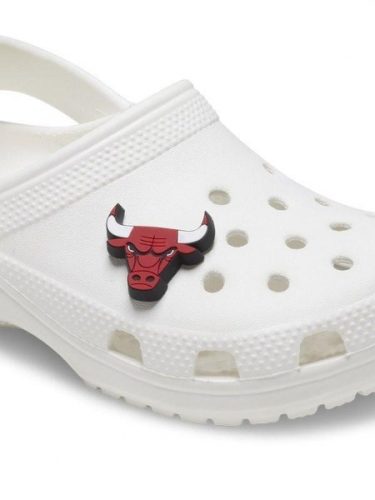 NBA Chicago Bulls Logo