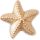 Gold Star Fish