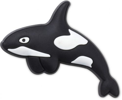 Arctic Orca