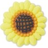 Detailed Sunflower