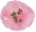 Delicate Cherry Blossom Floral