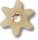 Tan Flower with Gem