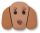 Tiny Dachshund Face