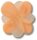 Blooming Orange Flower