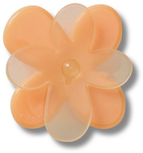 Blooming Orange Flower