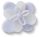 Blooming Light Blue Flower