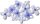 Blooming Blue Florals