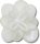 Blooming White Flower 2