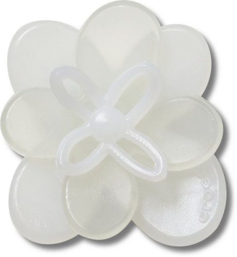 Blooming White Flower 2