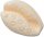 Pearl Puka Shell
