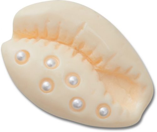 Pearl Puka Shell