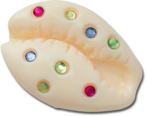 Gem Puka Shell