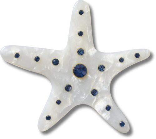 Silver Starfish