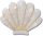 White and Gold Seashell