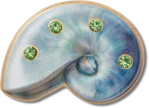 Light Swirl Shell
