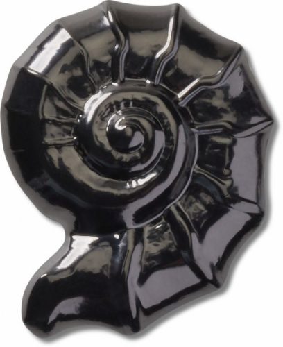 Dark Swirl Shell