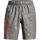 UA Woven Emboss Shorts