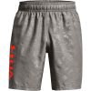 UA Woven Emboss Shorts