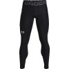 UA HG Armour Leggings