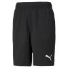 ACTIVE Woven Shorts