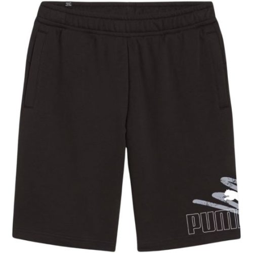 ESS  LOGO LAB Graphic Shorts