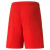 teamLIGA Shorts Puma Red Puma White