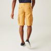 Shorebay Short férfi short