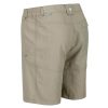 Leesville Shrt II férfi short