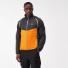 Steren Hybrid Férfi softshell kabát, mellény