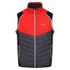 Steren Hybrid Férfi softshell kabát, mellény