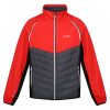 Steren Hybrid Férfi softshell kabát, mellény