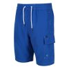 Hotham BdShort IV Férfi fürdõ short