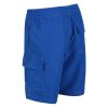 Hotham BdShort IV Férfi fürdõ short