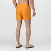 Wayde Swim Shorts férfi fürdõnadrág