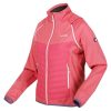 Wmn Steren Hybrid Nõi softshell kabát